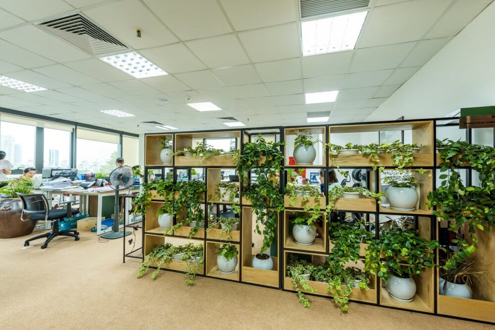 Tạo không gian xanh cho phòng làm việc là tạo không gian thoải mái cho nhân viên